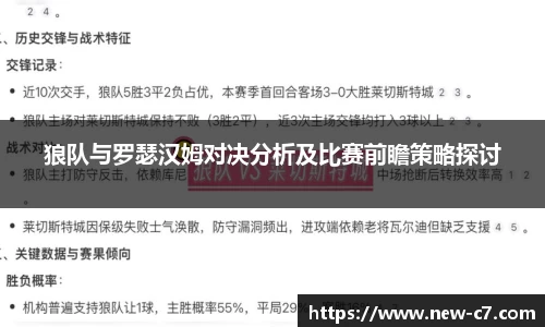 狼队与罗瑟汉姆对决分析及比赛前瞻策略探讨